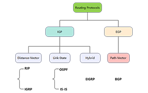 Popular Routing Protocols